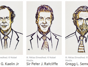 Winners of 2019 Nobel Prize in Physiology or Medicine (Credit: Nobel Media)