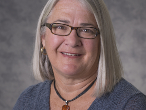 Lizanne DeStefano - Executive Director, Georgia Tech Center for Education Integrating Science, Mathematics, and Computing (CEISMC) CEISMC