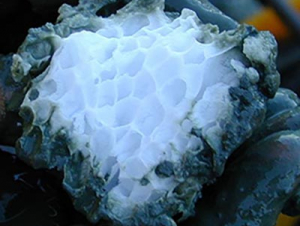 Structure of a methane clathrate block found in Oregon. (Source: Wikimedia Commons)