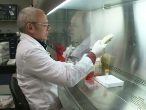 M.G. Finn, Professor and Chair, James A. Carlos Family Chair for Pediatric Technology, School of Chemistry and Biochemistry (Photo/Video: 11Alive)