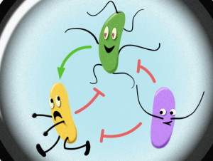 The hidden social network of microbes