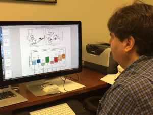 Reviewing data on bacteria
