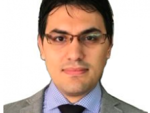 Mohammadreza Nazemi, postdoctoral fellow, School of Chemistry and Biochemistry 