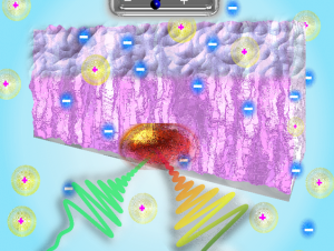 The above schematic illustrates a conjugated polymer film in an electrochemical cell.