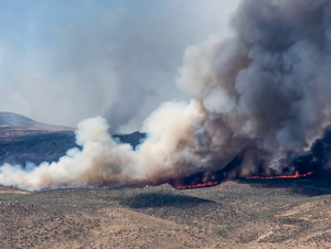 Smoke from human-caused wildfires on the Patagonian steppe are trapped in Antarctic ice. (Photo Kathy Kasic/Brett Kuxhausen, Montana State University)