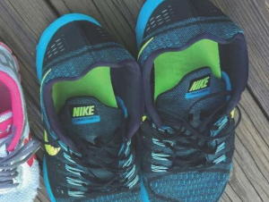 The Sneakers in the Closet and Other Essays