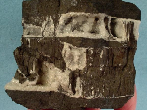 Todorokite (Photo courtesy Wikimedia Commons)
