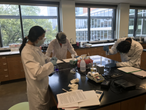 Students work in a socially-distanced chemistry lab course.