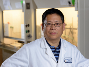 Professor Younan Xia