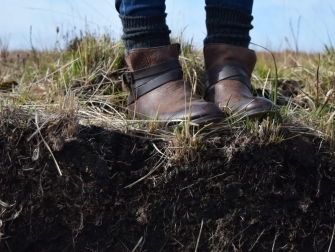 At just a few inches under our feet, the rhizosphere is described as a "hotspot for microbes." (Photo by Chad Ralston)