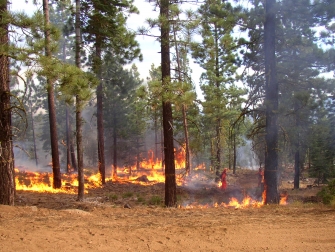 Controlled Wildland Burn