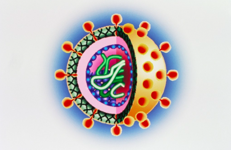 Artist's rendition of a virus. The blue spheres represent the protein capsid covering (courtesy Microbiology Online).